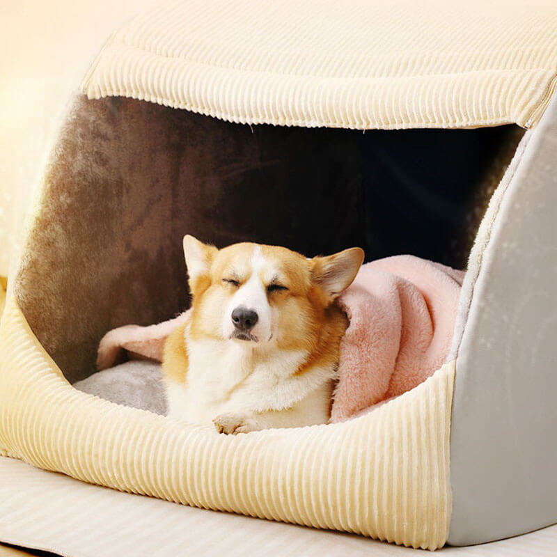 Soft Deluxe Orthopedic Dog Bed for Warm Comfort