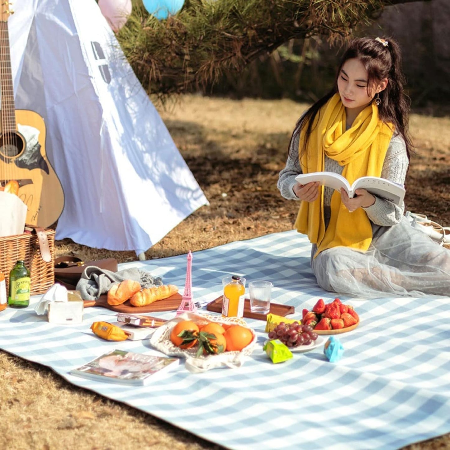 Big Waterproof Foldable Outdoor Blanket