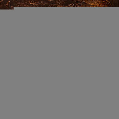 Solar Powered Weatherproof Outdoor LED Wall Lamp