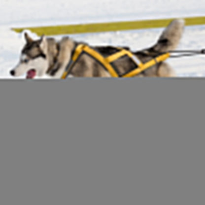 Strong Dog Pulling Harness for Sled Training - Pexav