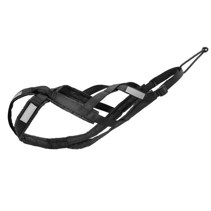 Strong Dog Pulling Harness for Sled Training