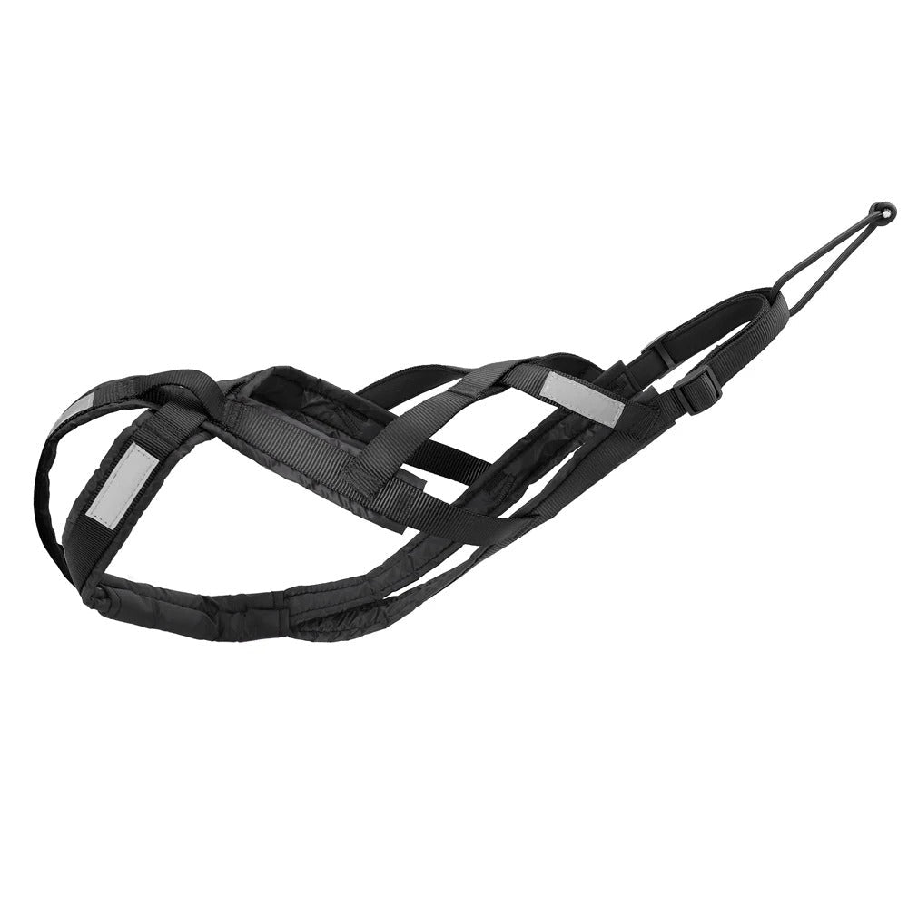 Strong Dog Pulling Harness for Sled Training