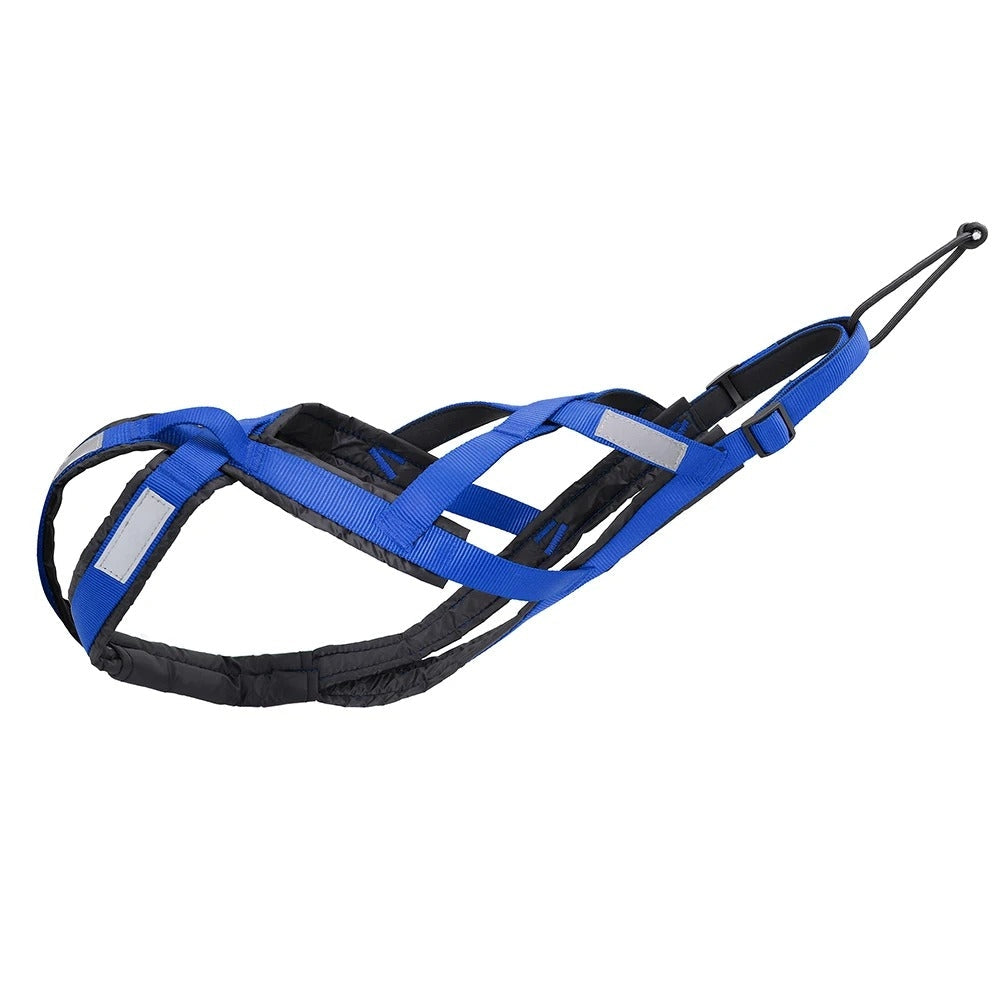 Strong Dog Pulling Harness for Sled Training