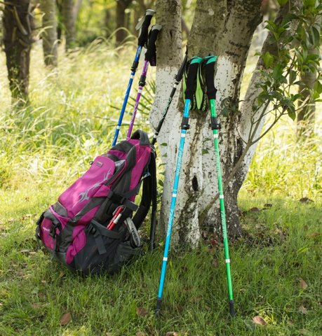 Collapsible Hiking Walking Sticks