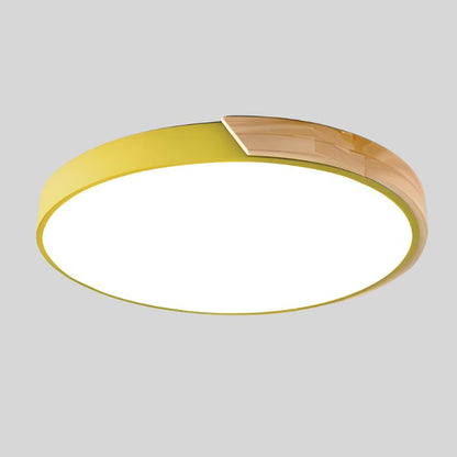 Simple White LED Ceiling Fixture Flush Mount Light