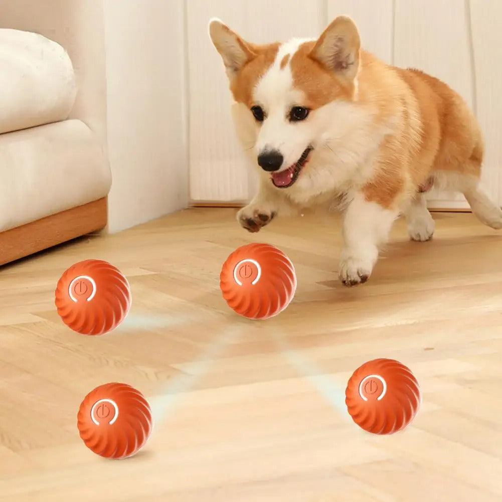 Fun Interactive Pet Toy RolliPlay - Pexav