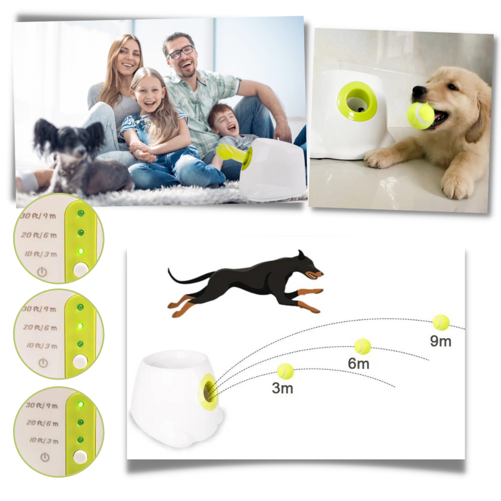 Automatic Pet Ball Launcher Toy