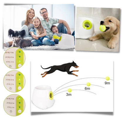 Automatic Pet Ball Launcher Toy