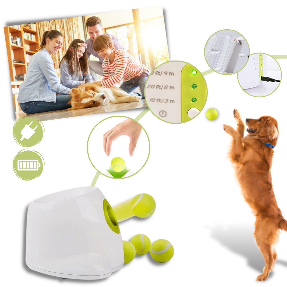 Automatic Pet Ball Launcher Toy