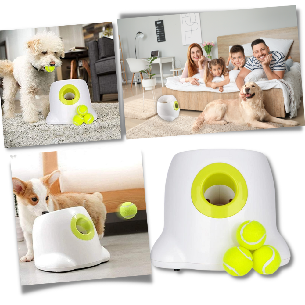Automatic Pet Ball Launcher Toy - Pexav