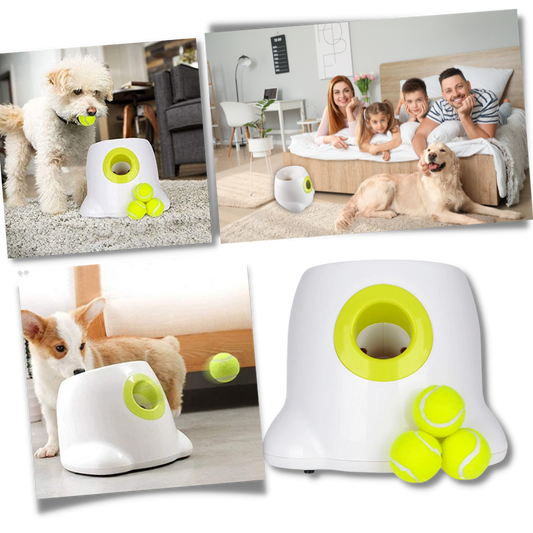 Automatic Pet Ball Launcher Toy - Pexav