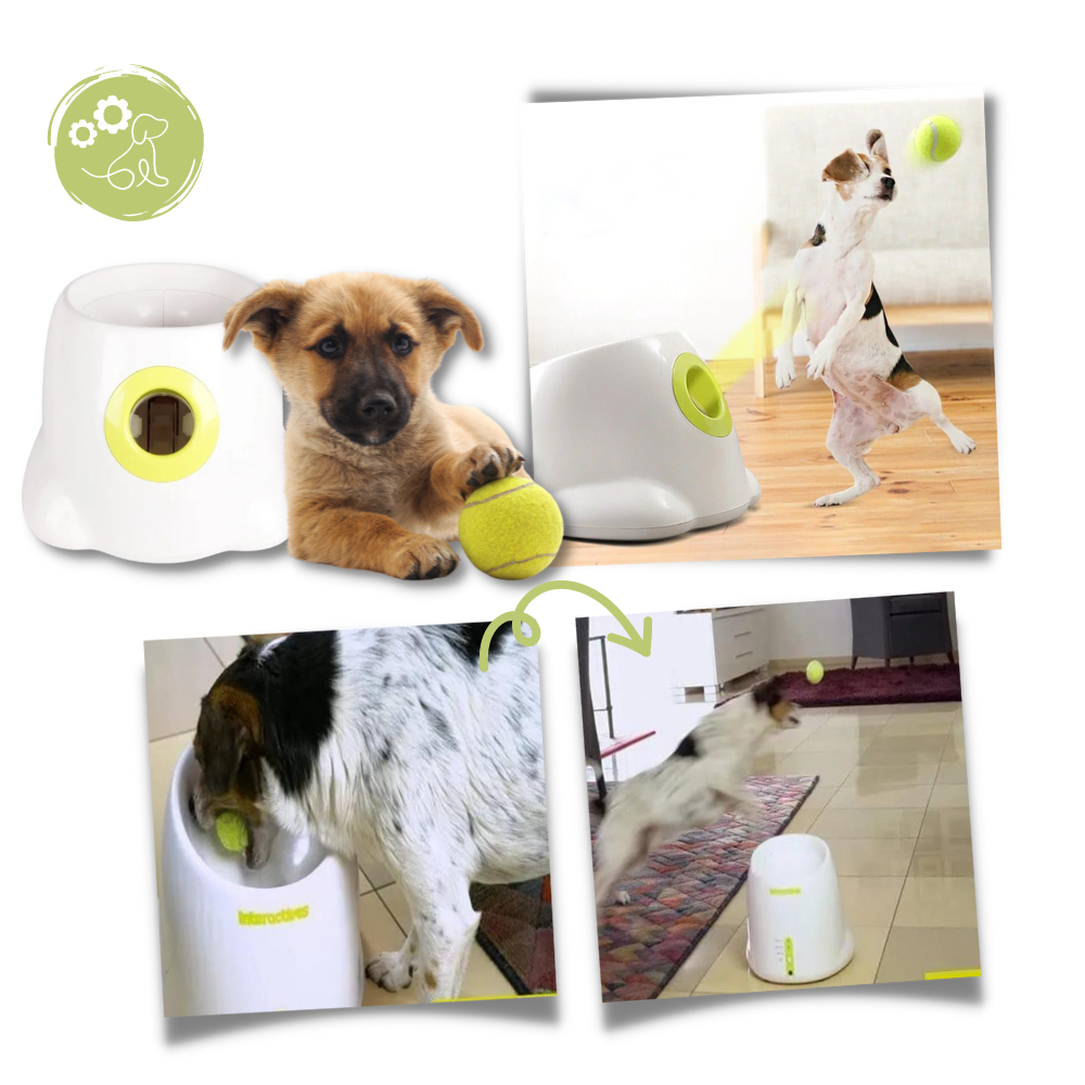 Automatic Pet Ball Launcher Toy