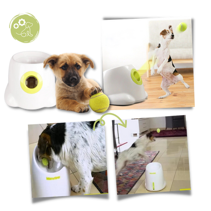 Automatic Pet Ball Launcher Toy