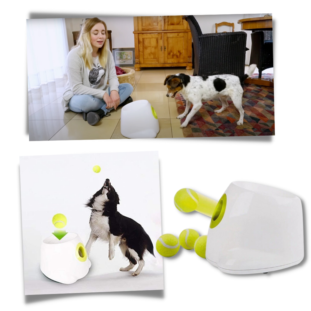Automatic Pet Ball Launcher Toy