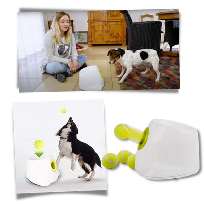 Automatic Pet Ball Launcher Toy