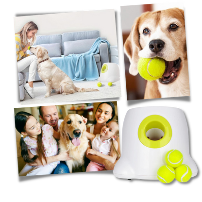 Automatic Pet Ball Launcher Toy