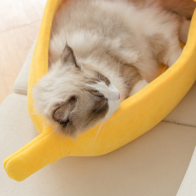 Soft Pet Hideaway Bed for Cats and Small Dogs