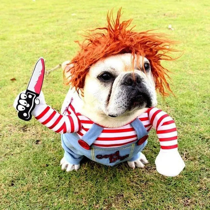 Cute Funny Pet Halloween Costume - Pexav