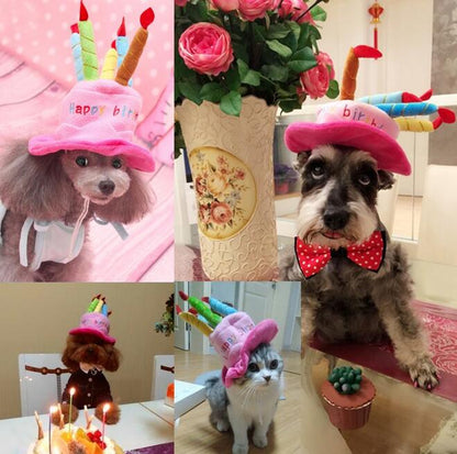 Birthday Hat for Dogs and Cats - PartyPaws-Blue-Nora Luxe