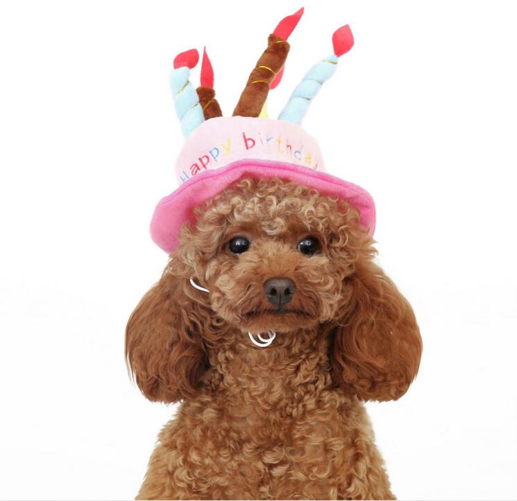 Funny Pet Party Hat - Pexav