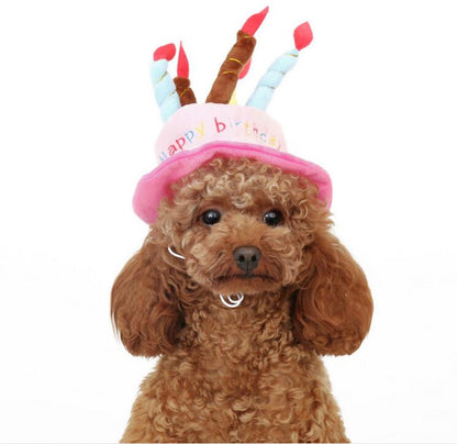 Funny Pet Party Hat - Pexav