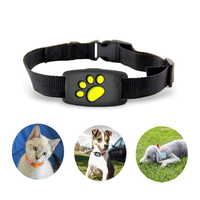 Advanced Tracking Pet Collar