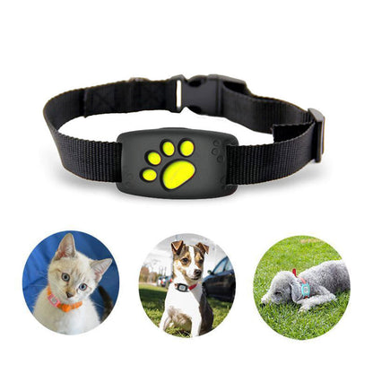 Advanced Tracking Pet Collar