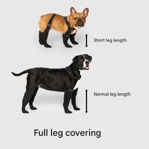 Boots for Safe Outdoor Adventures - PawShield-S-Nora Luxe
