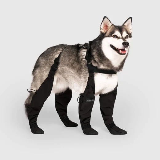 Waterproof Dog Boots for Hiking - Pexav