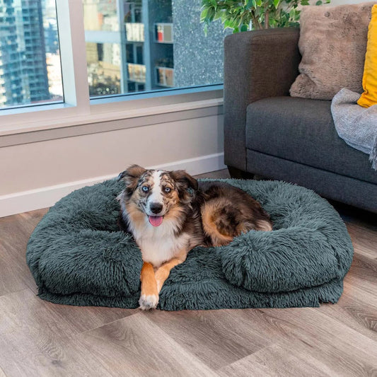 Comfortable Pet Bed with Orthopedic Foam - Pexav