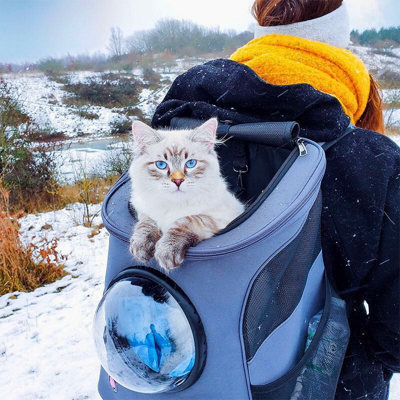 Pet Safe Cat Travel Carrier - Pexav