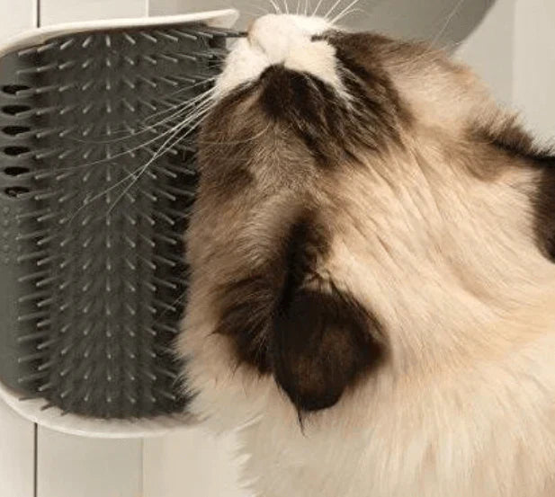 Cat Corner Brush for Self-Care - PurrGroom-Blue-3.54x5.12 inches-Nora Luxe