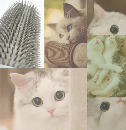 Cat Corner Brush for Self-Care - PurrGroom-Blue-3.54x5.12 inches-Nora Luxe