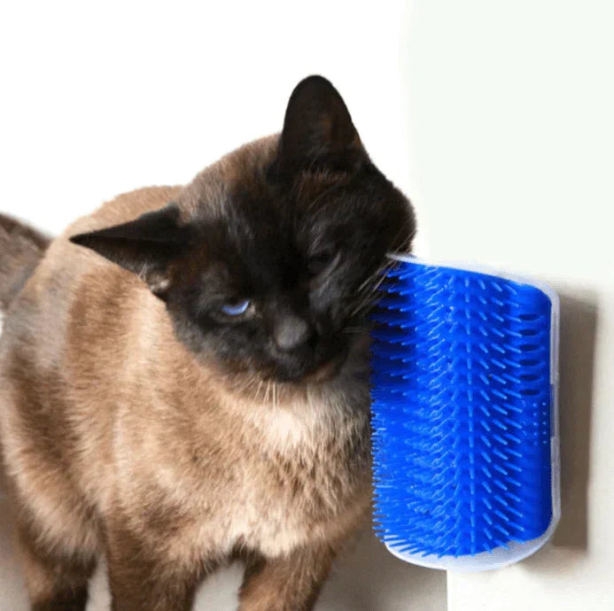 Gentle Pet Grooming Brush for Cats - Pexav