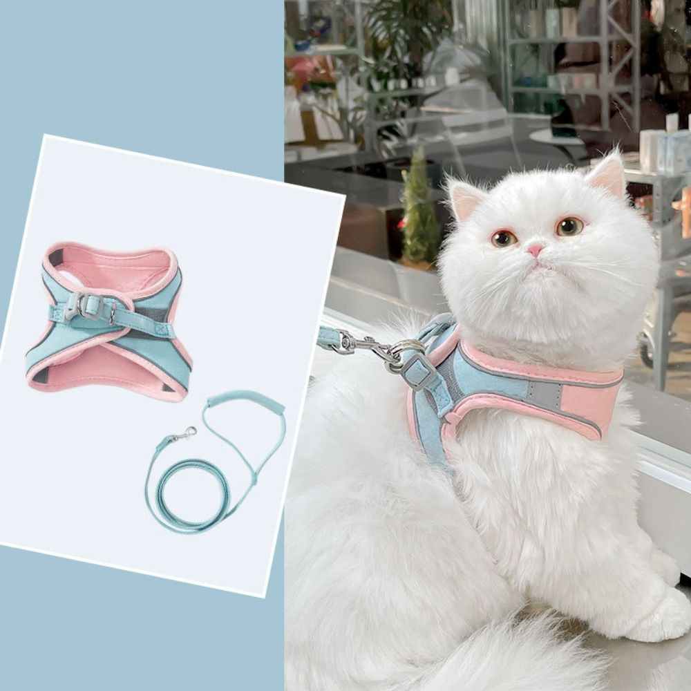 Cat harness - Oscar-Orange | Teal-S-Nora Luxe