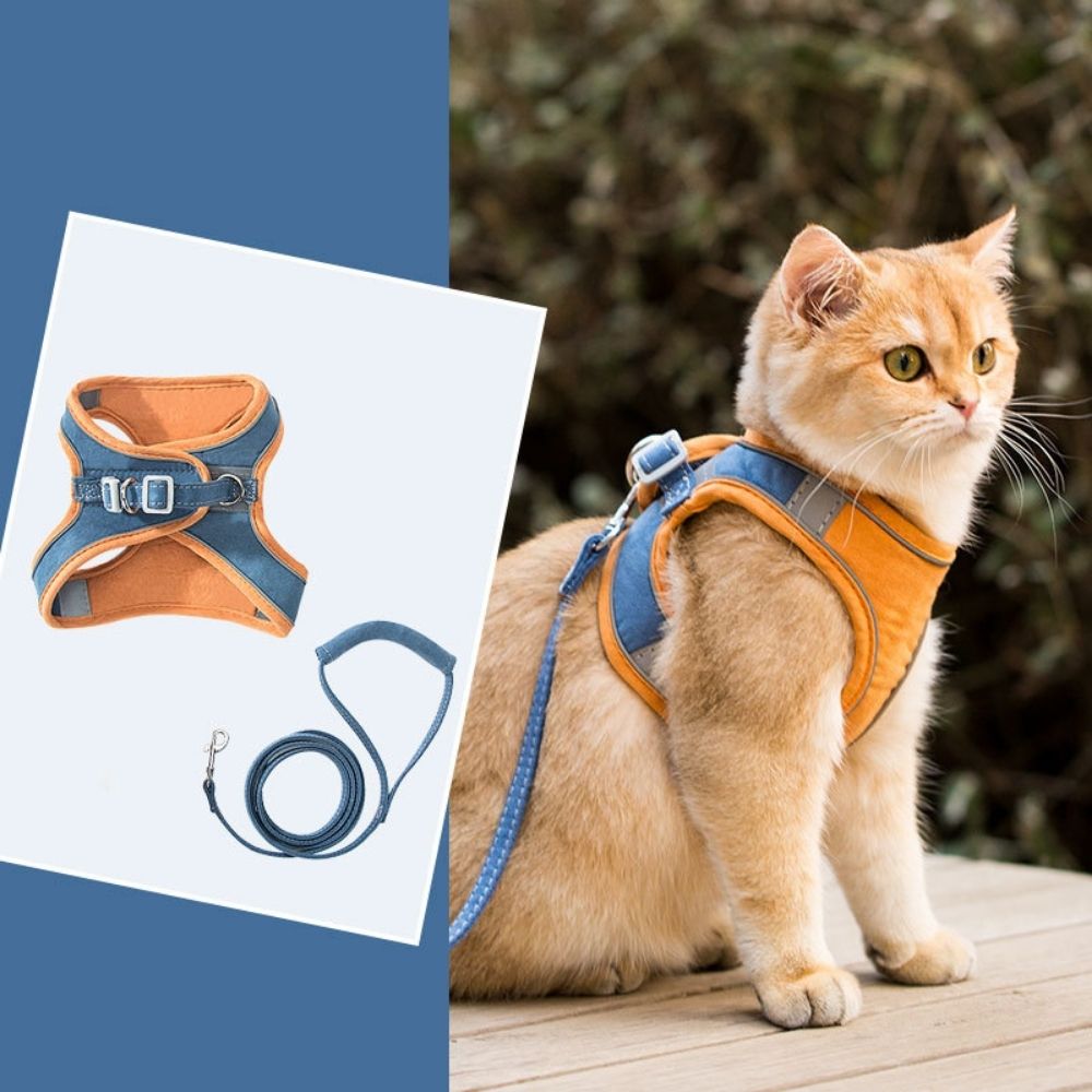 Cat harness - Oscar-Orange | Teal-S-Nora Luxe
