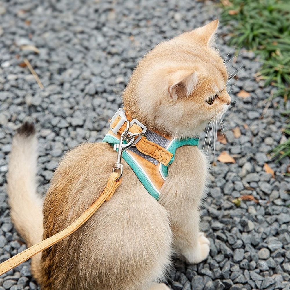 Cat harness - Oscar-Orange | Teal-S-Nora Luxe
