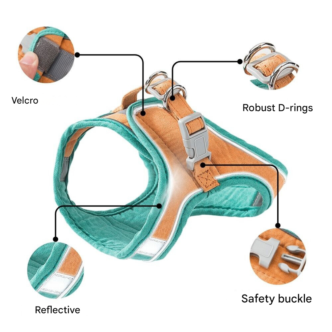 Cat harness - Oscar-Orange | Teal-S-Nora Luxe