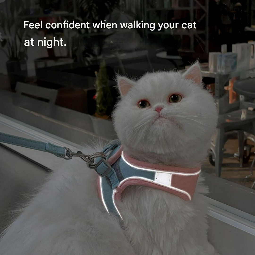 Cat harness - Oscar-Orange | Teal-S-Nora Luxe