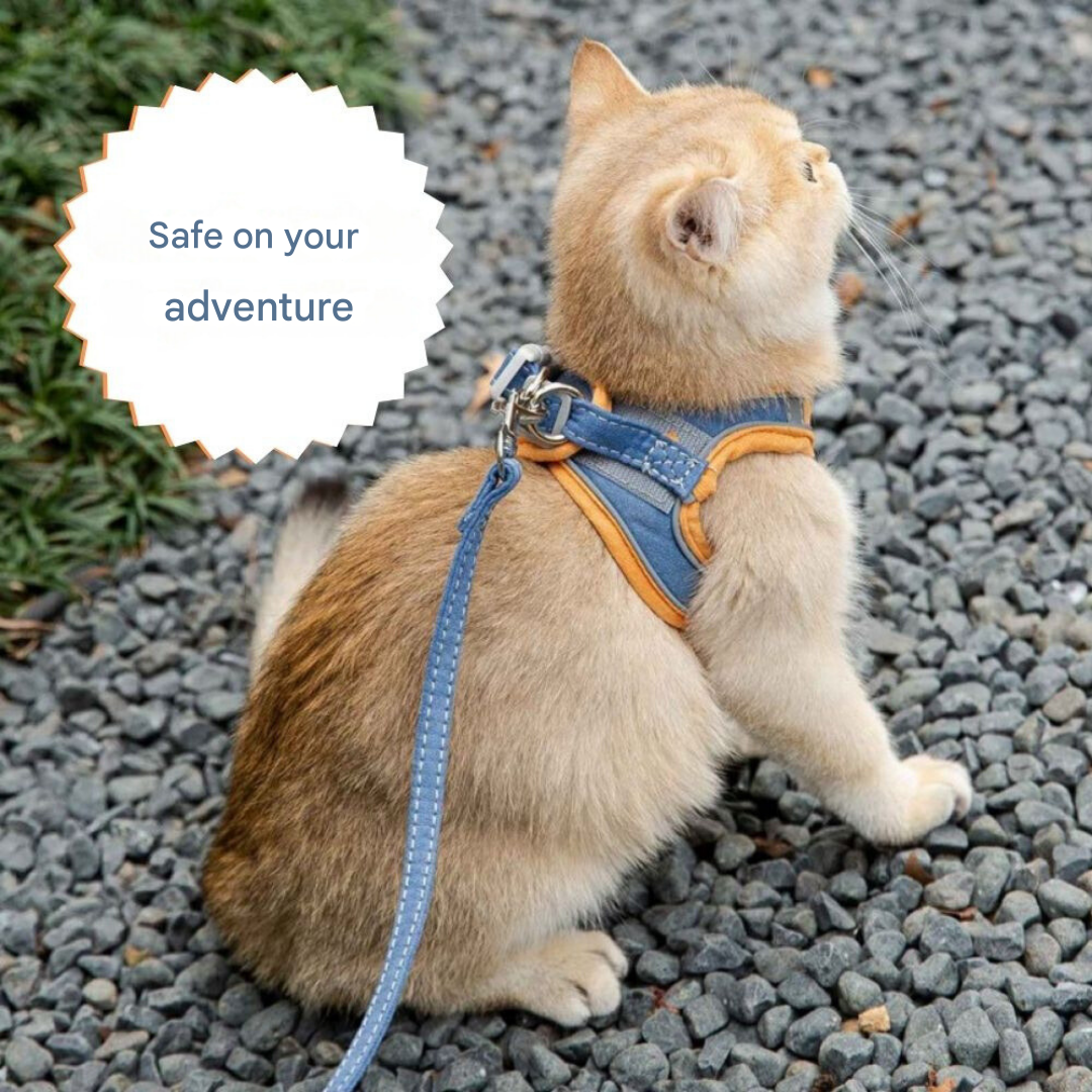Cat harness - Oscar-Orange | Teal-S-Nora Luxe
