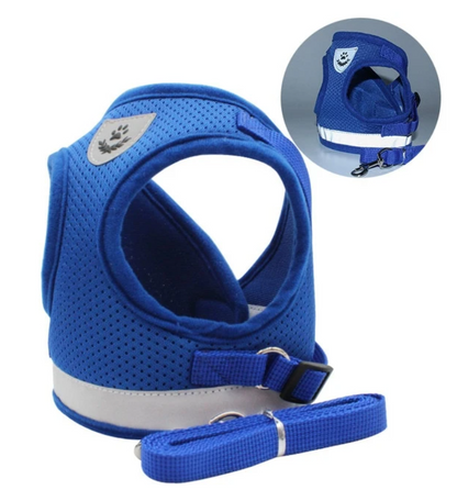 Cat harness with leash - AdventureKit-Black-S-Nora Luxe