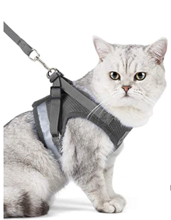 Cat harness with leash - AdventureKit-Black-S-Nora Luxe