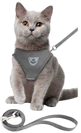 Cat harness with leash - AdventureKit-Black-S-Nora Luxe