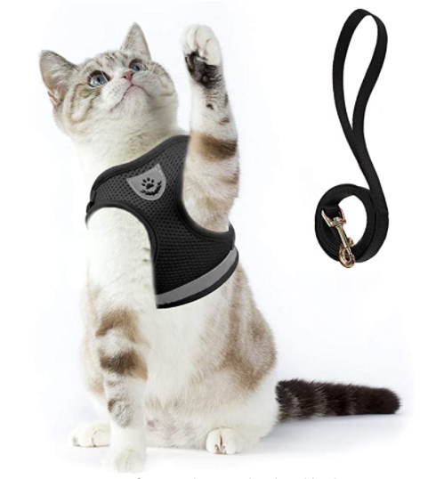 Cat harness with leash - AdventureKit-Black-S-Nora Luxe
