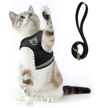 Cat harness with leash - AdventureKit-Black-S-Nora Luxe