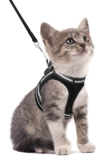 Cat harness with leash - AdventureKit-Black-S-Nora Luxe