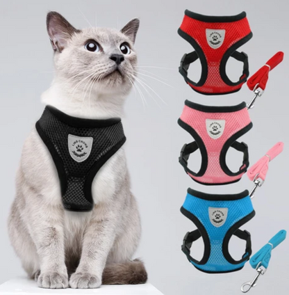 Cat harness with leash - AdventureKit-Black-S-Nora Luxe