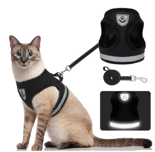 Pet Safe Cat Harness Leash Set - Pexav