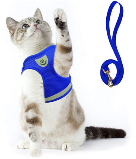 Cat harness with leash - AdventureKit-Blue-S-Nora Luxe