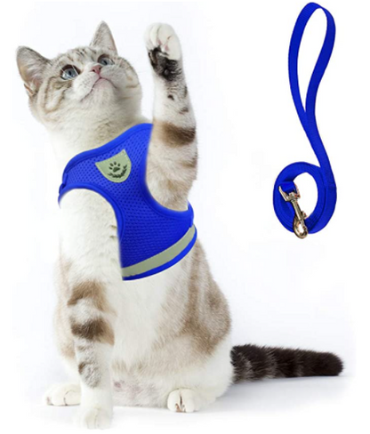 Cat harness with leash - AdventureKit-Blue-S-Nora Luxe